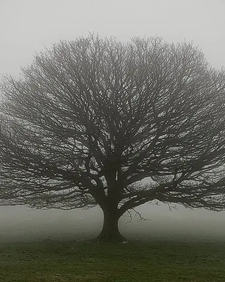 With a little help from our friends… 1