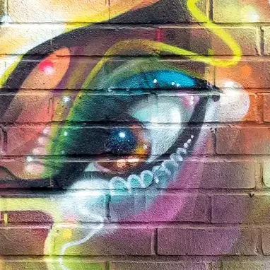 Simon Knight, DS.Emotion